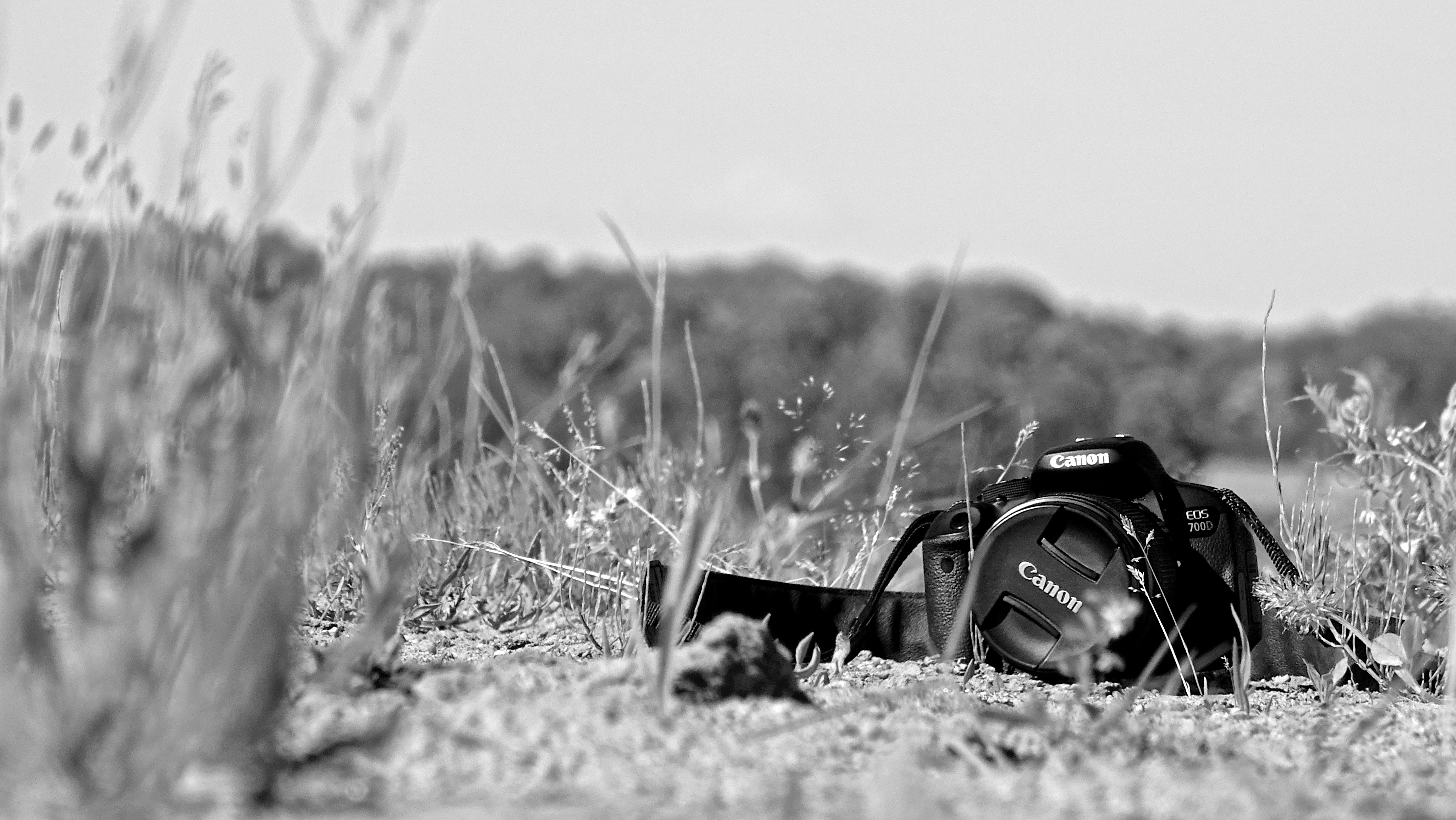 Photo by philographism