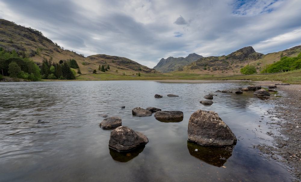 photography of brown stones on body of water during daytime