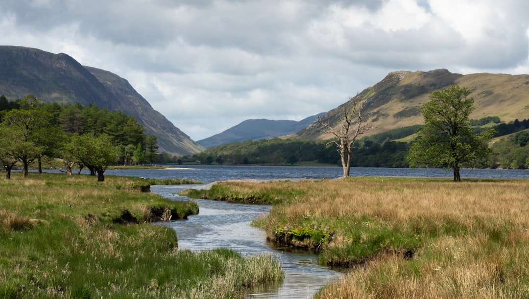 body of water near trees,