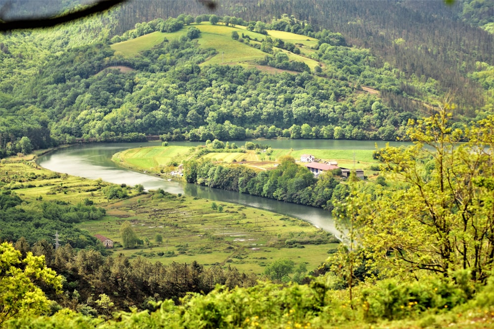 river flowing through verdant valley