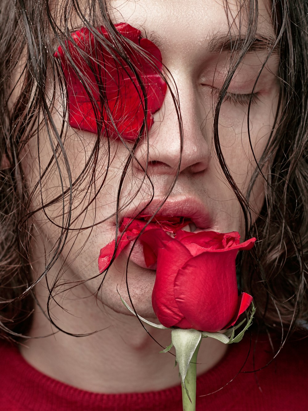 unknown person biting red rose flower