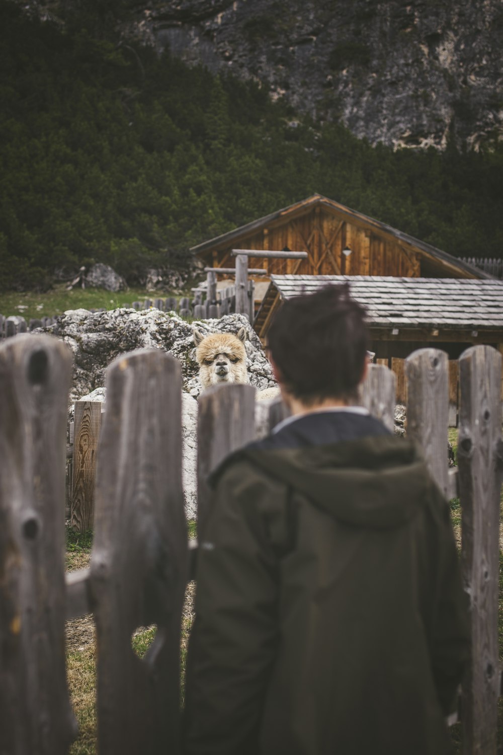 Persona in piedi accanto alla recinzione di legno grigia durante il giorno