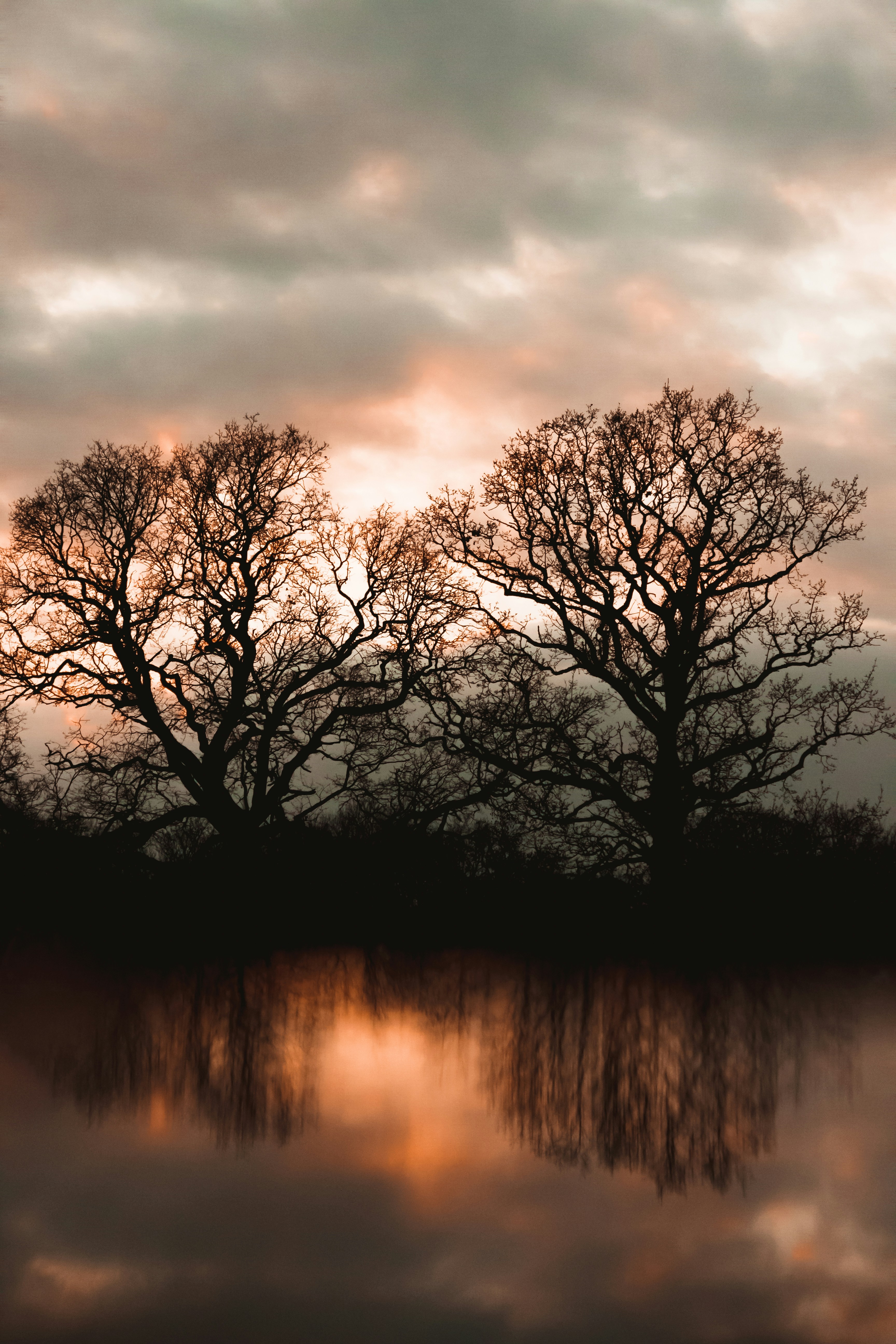 Photo by connorpopephotos