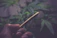 A close-up of a hand holding a freshly rolled cannabis joint next to vibrant green buds.
