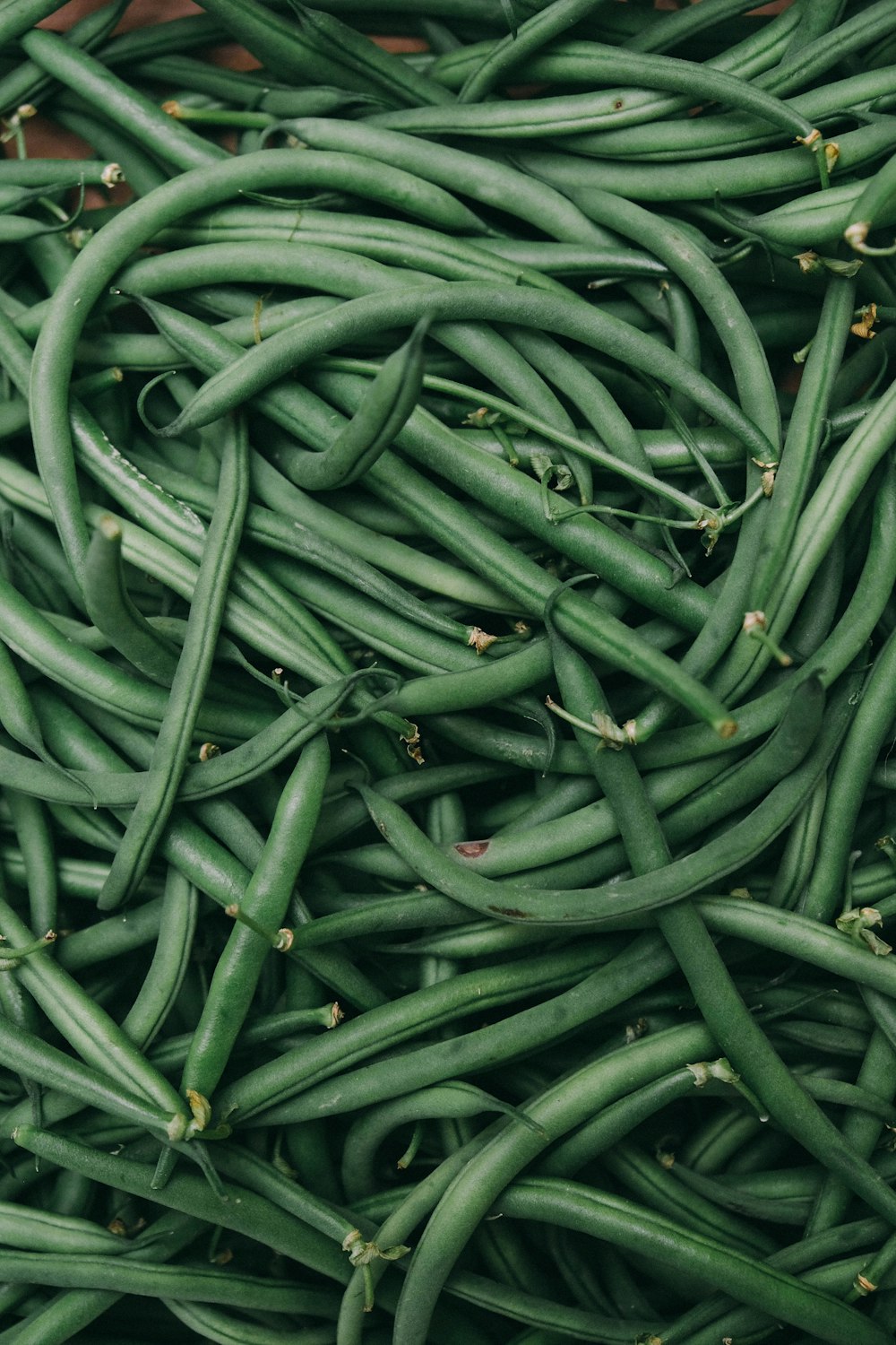green string beans photo