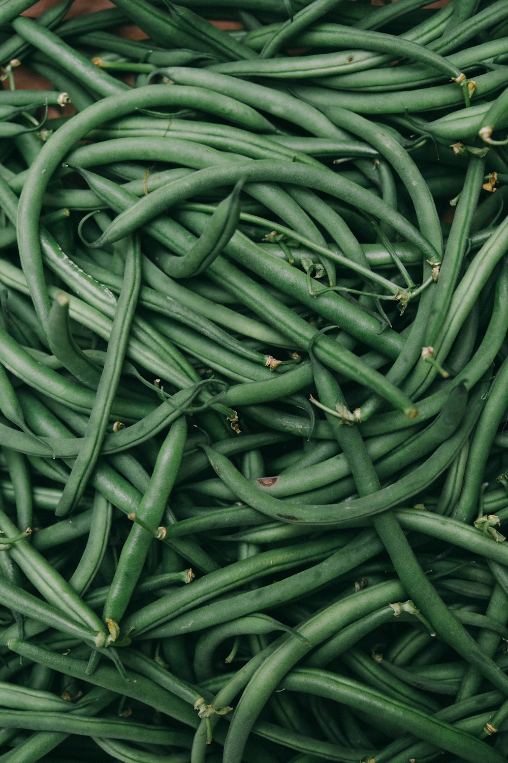 photo de haricots verts