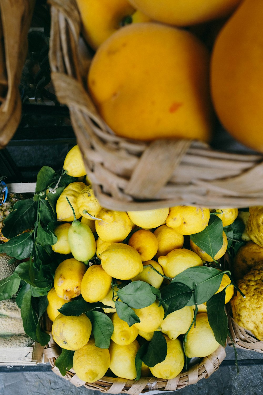 lemon fruits