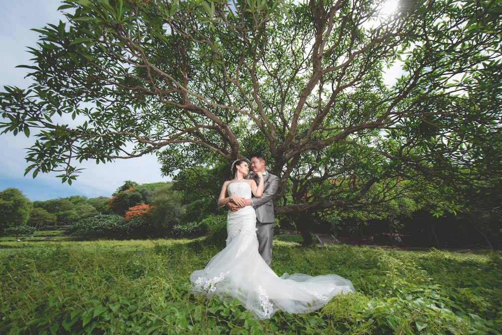 pareja bajo el brote prenupcial de un árbol