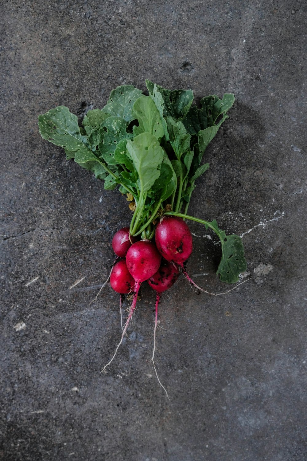 round pink vegetable