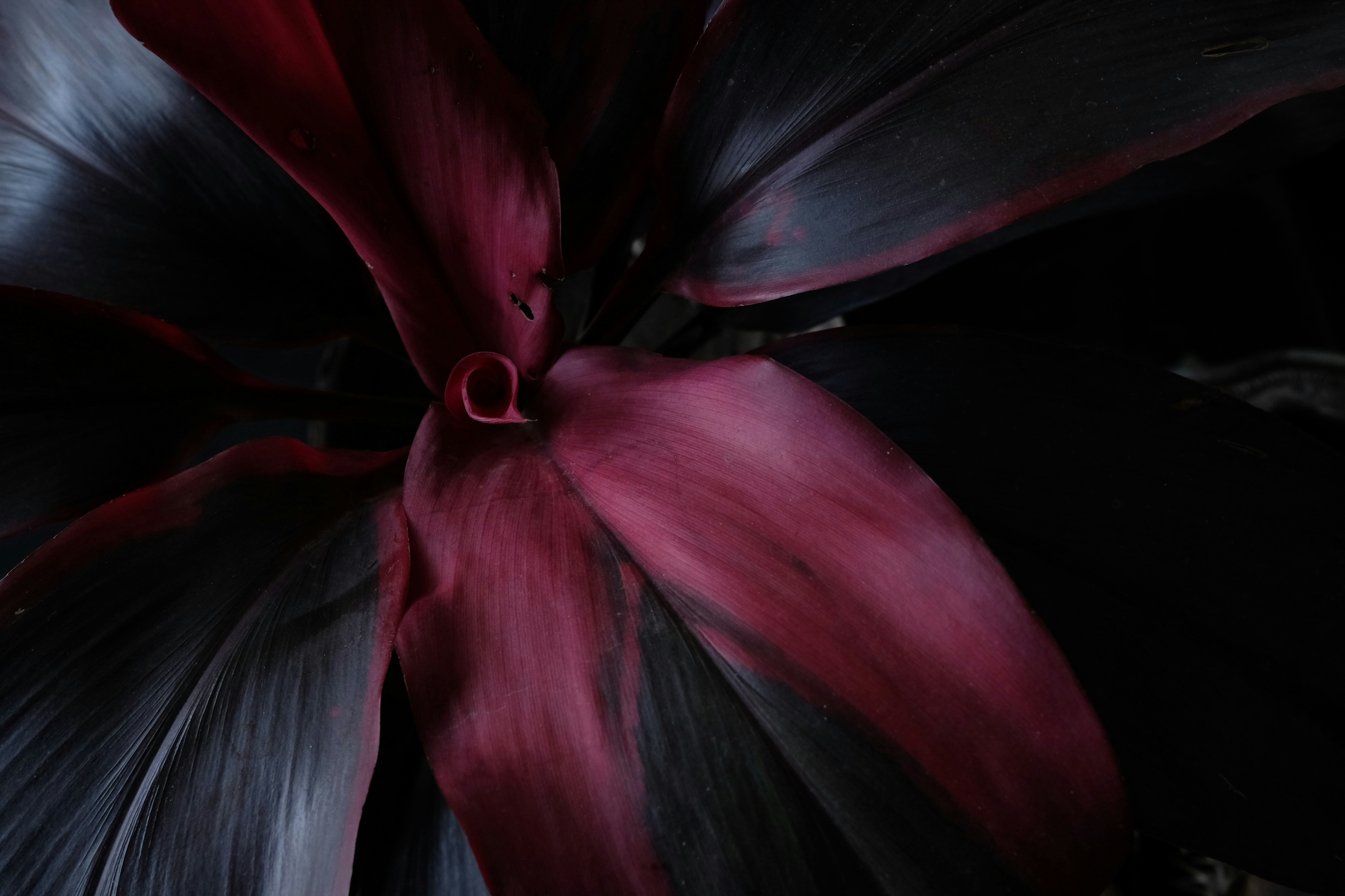 DigiFinex header image