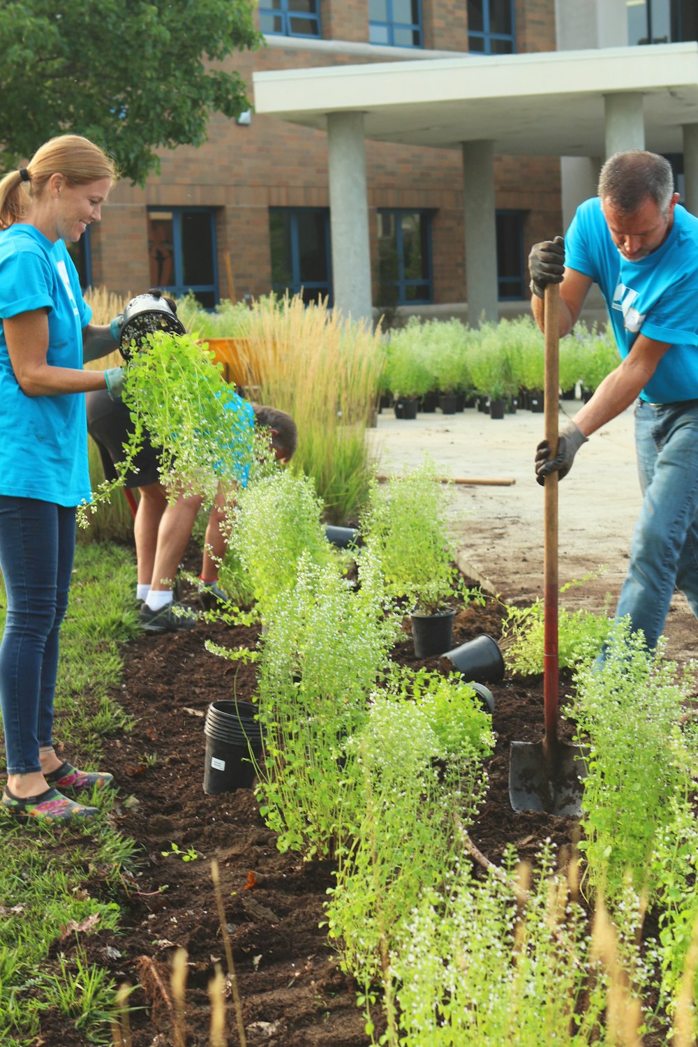 girl wearing blue shirt planting plants