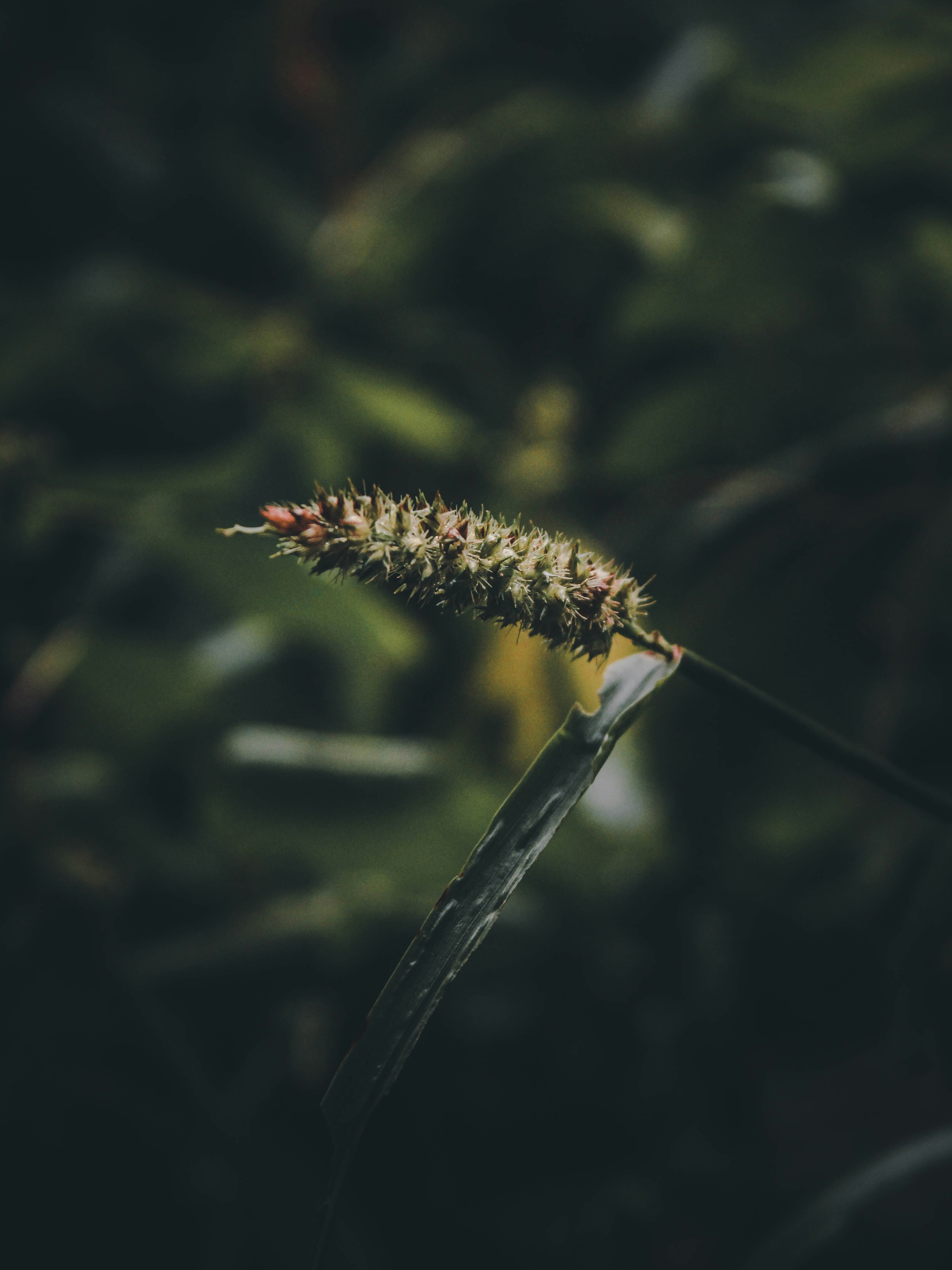 Photo by theian20