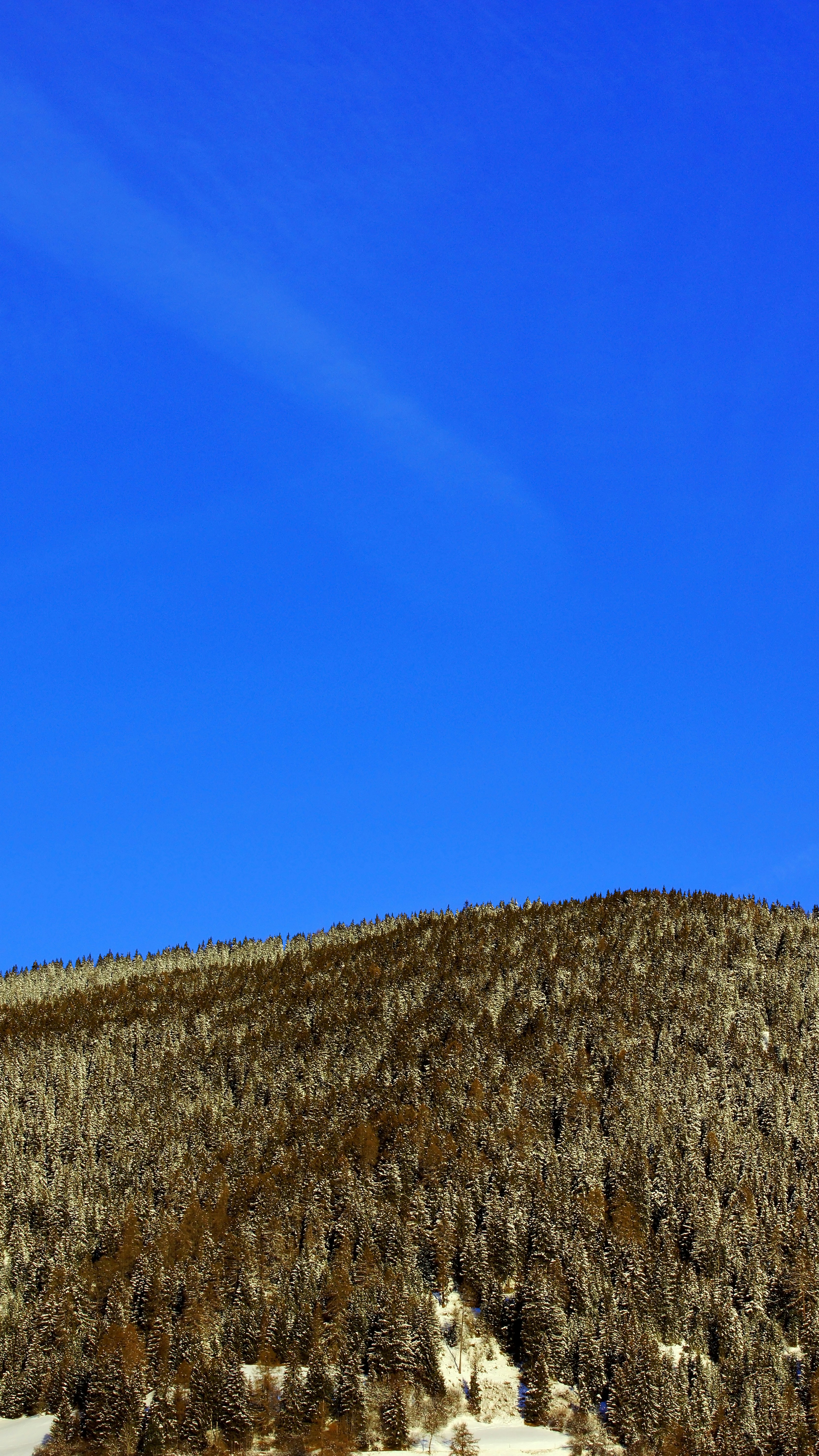 Photo by borisview