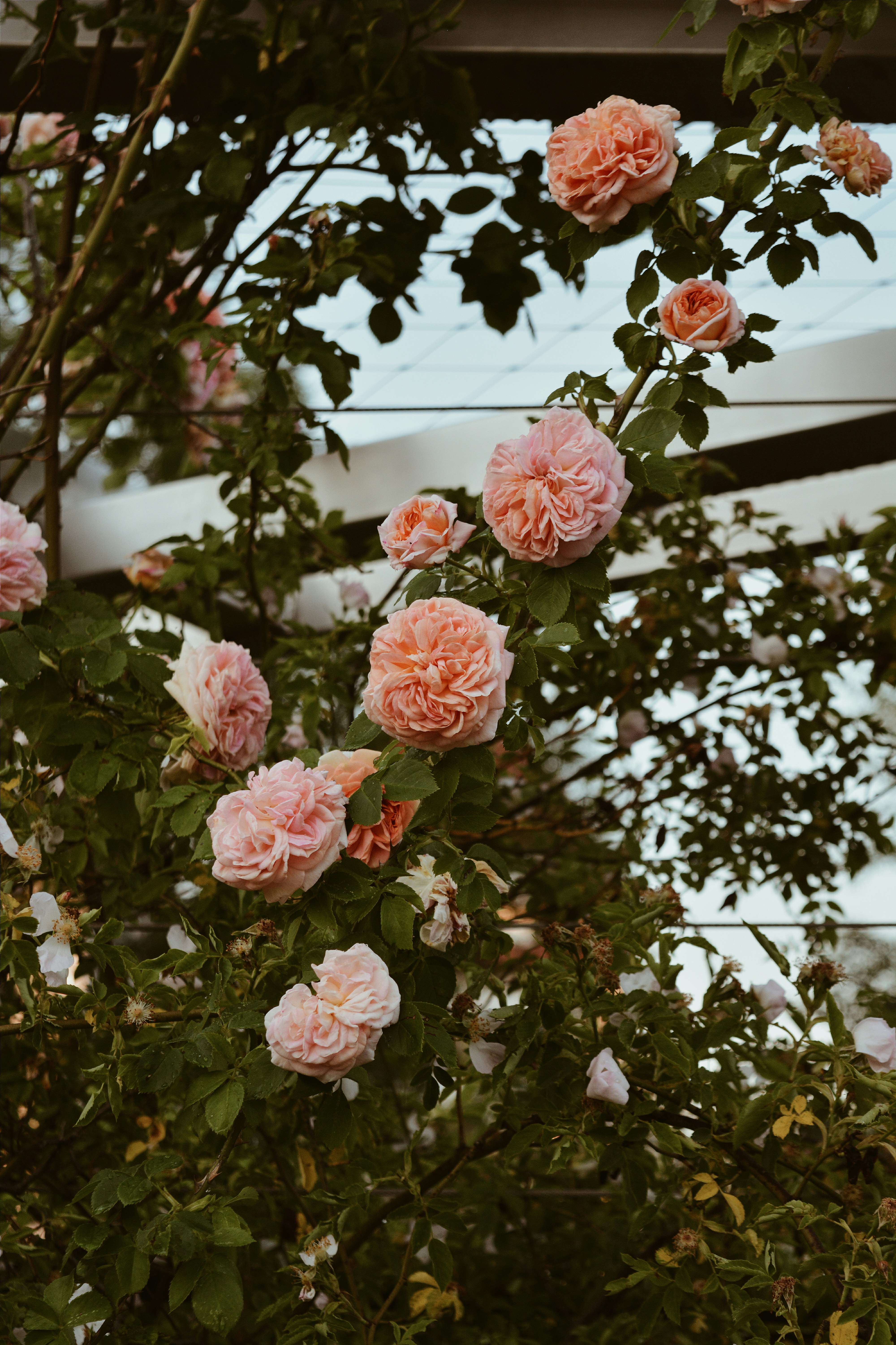 Photo by tavdina