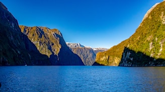 A serene landscape of a deep canyon under a clear blue sky, symbolizing depth and reliability.