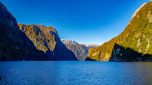 A serene landscape of a deep canyon under a clear blue sky, symbolizing depth and reliability.