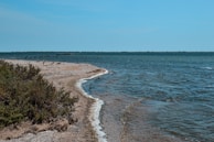 ocean view during daytime