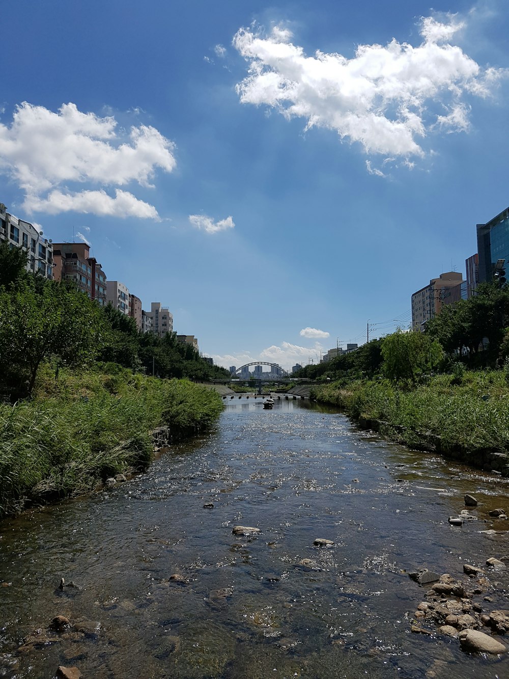 river between green grass under blue sky