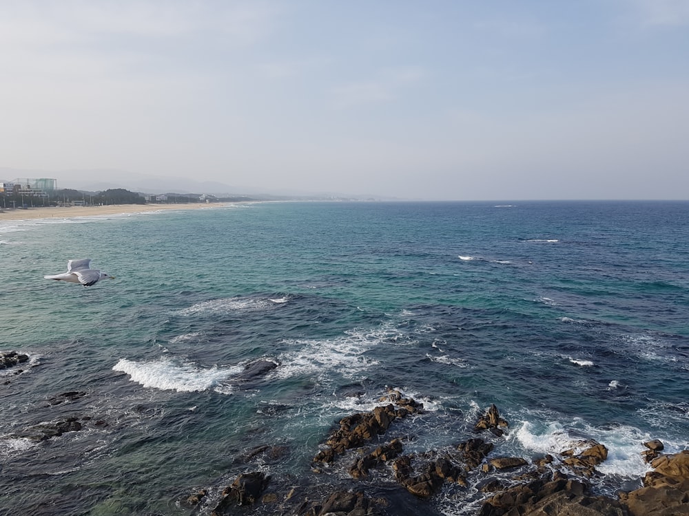 rocks in ocean