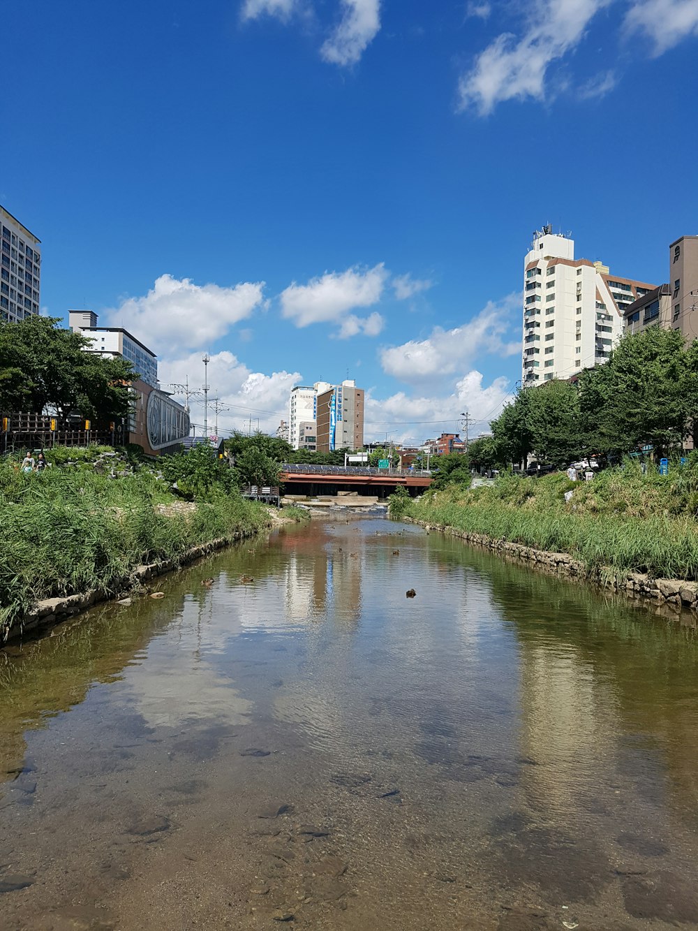 a body of water surrounded by tall buildings