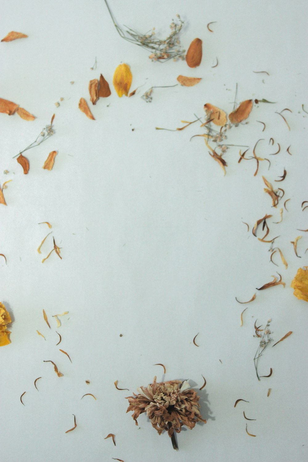 dried petals