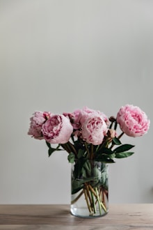 pink flowers in clear glass vase