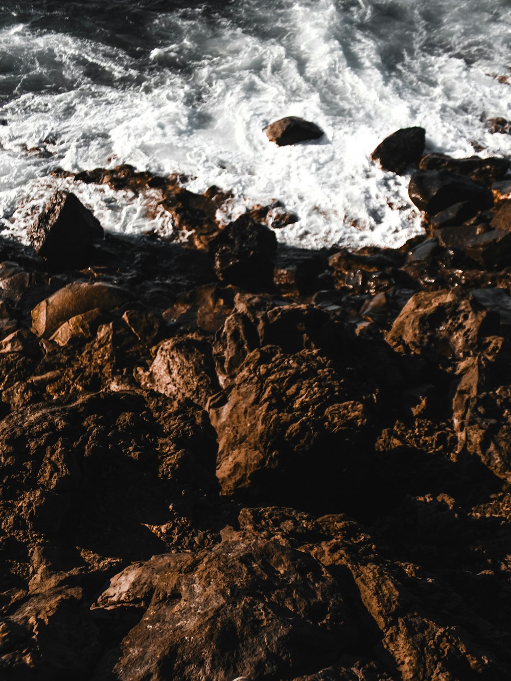 a bird sitting on a rock near the ocean