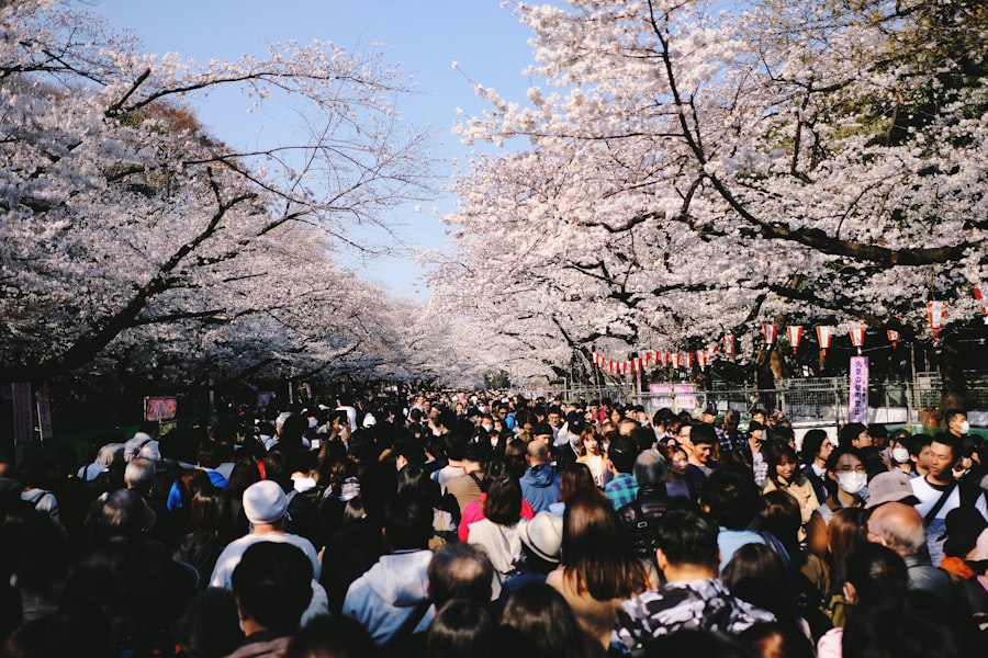 Festival crowds walking under cherry blossom canopy in Jinhae