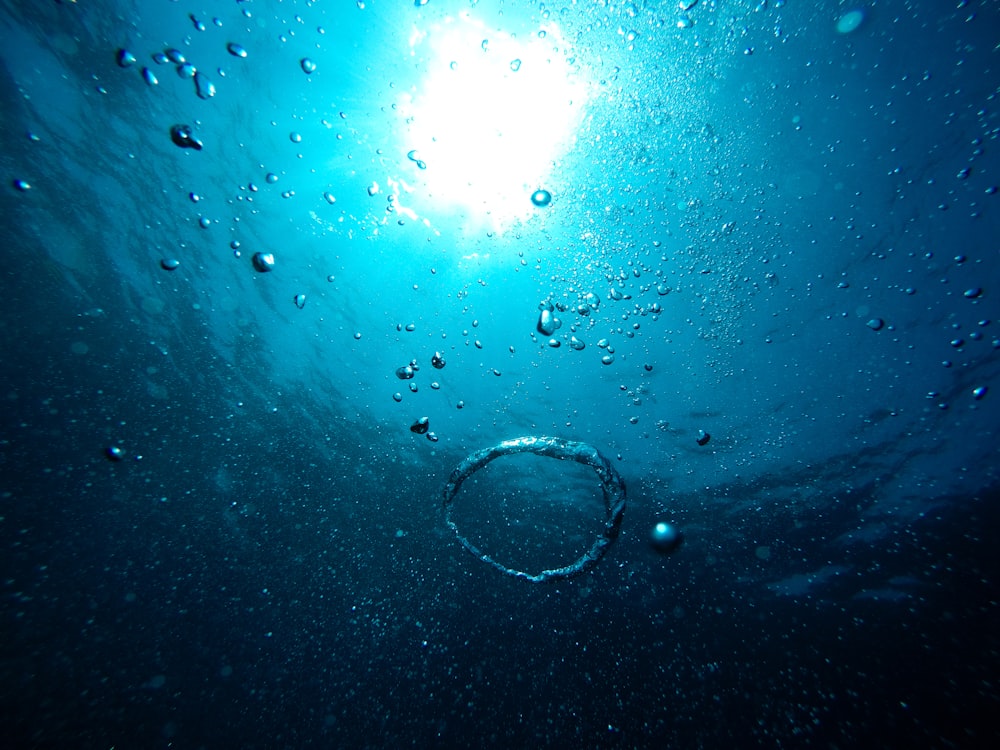 1000+ Underwater Bubbles Pictures