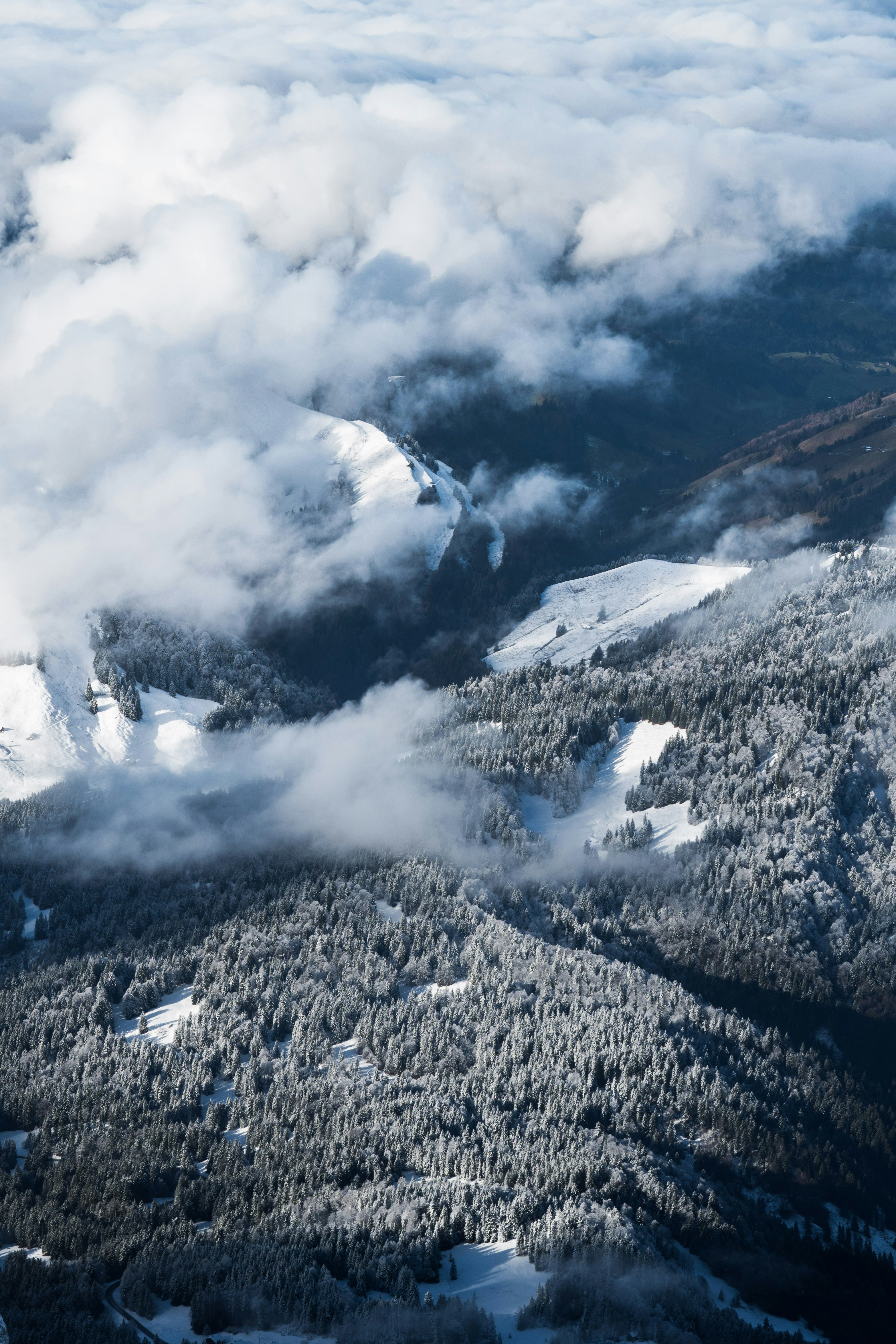 Photo by silasbaisch