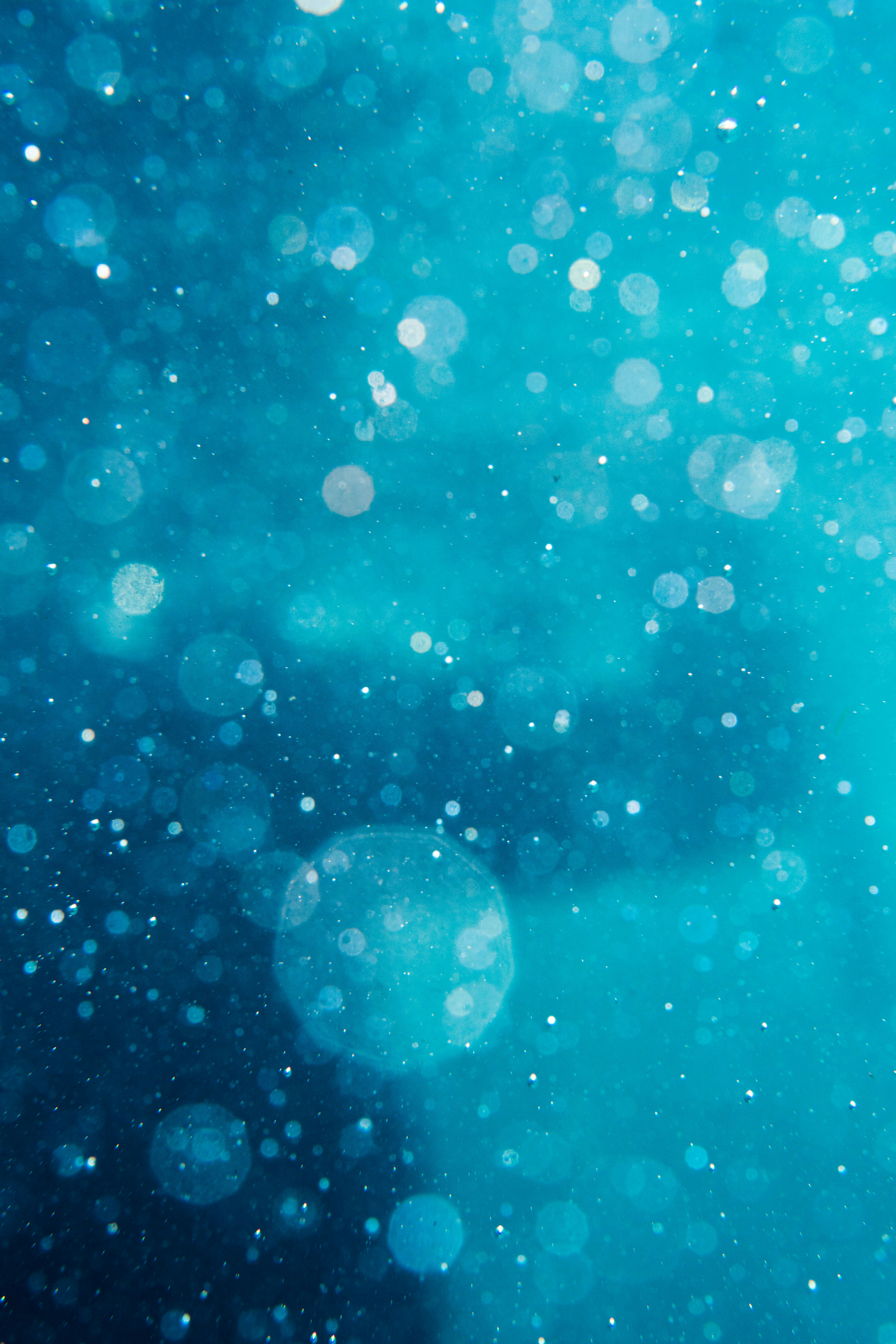 Photo by silasbaisch