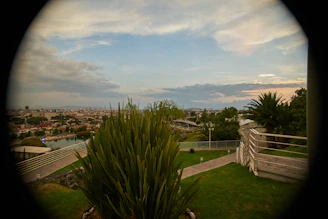 A serene view of green landscaped gardens at Metroplex City in Joka.