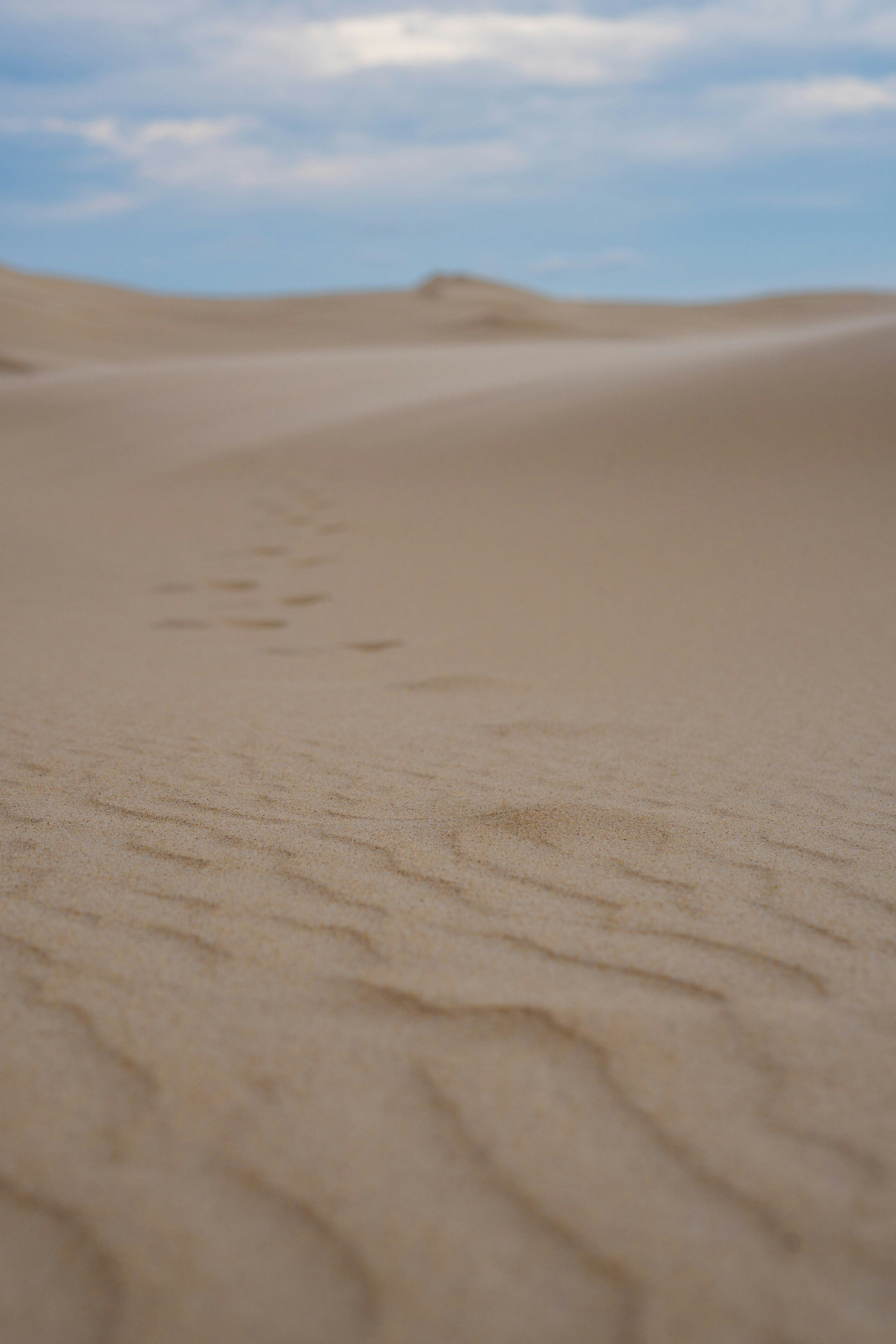 desert dune wallpaper, wallpaper, Formula Offroad: The Ultimate Sand Climbing Experience 6
