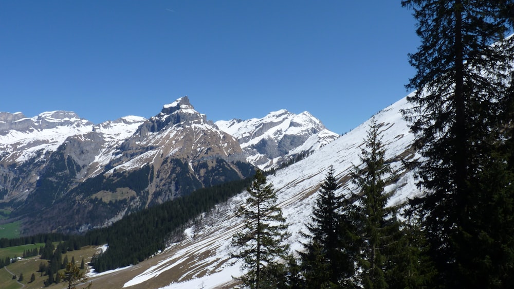 landscape photo of a snowy mountain