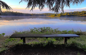 brown wooden bench near body of water