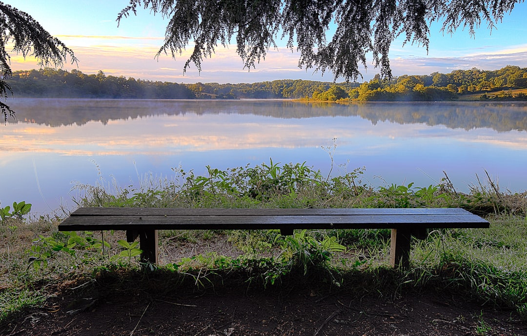 brown wooden bench near body of water