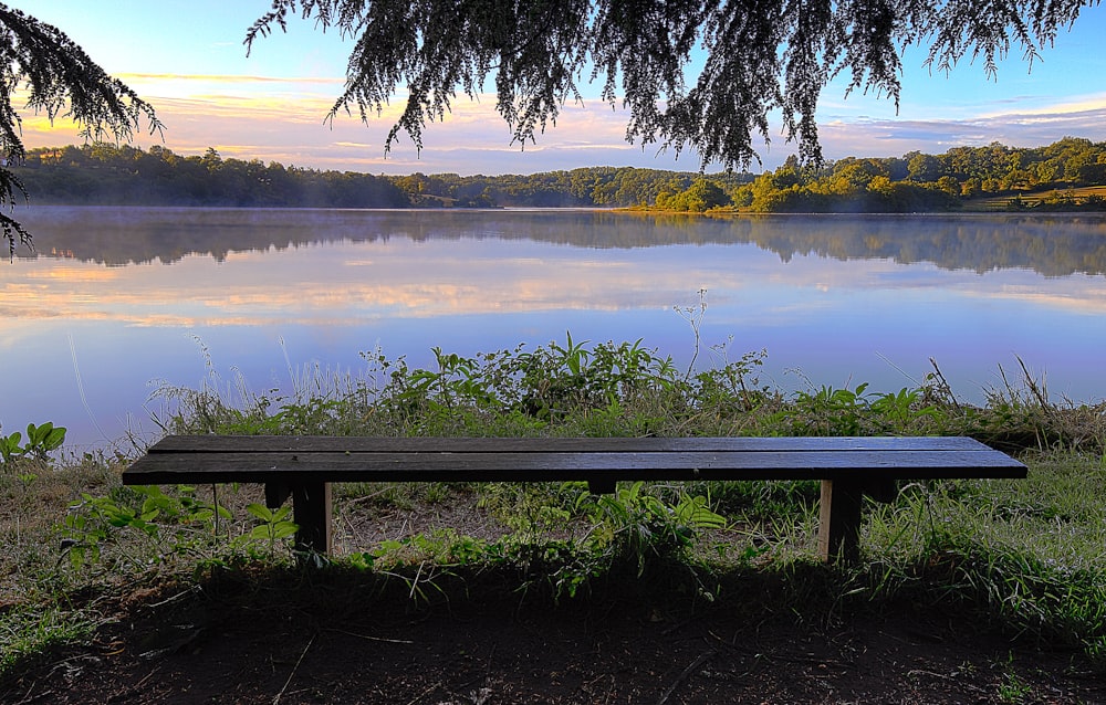 brown wooden bench near body of water
