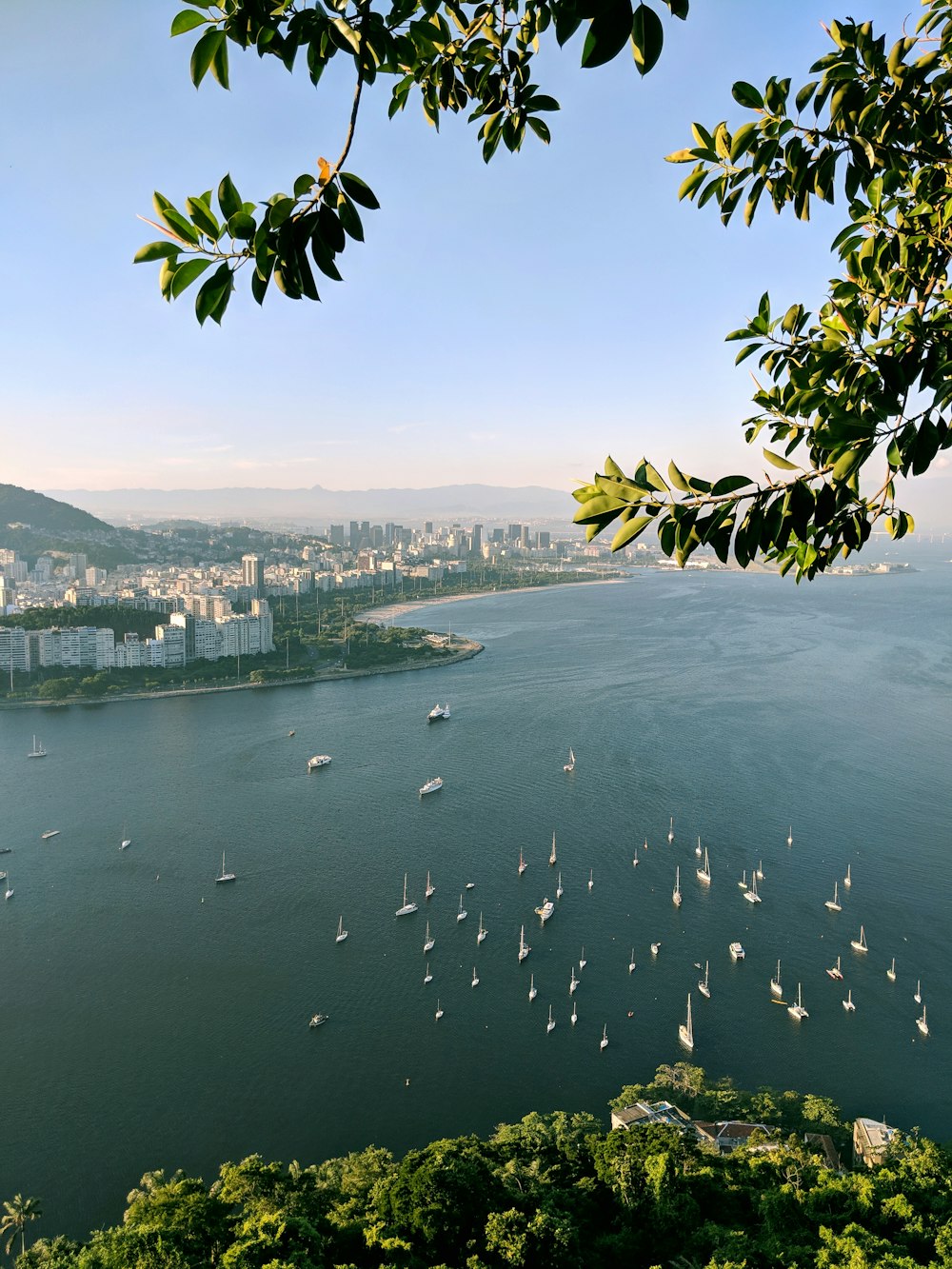 aerial photography of body of water