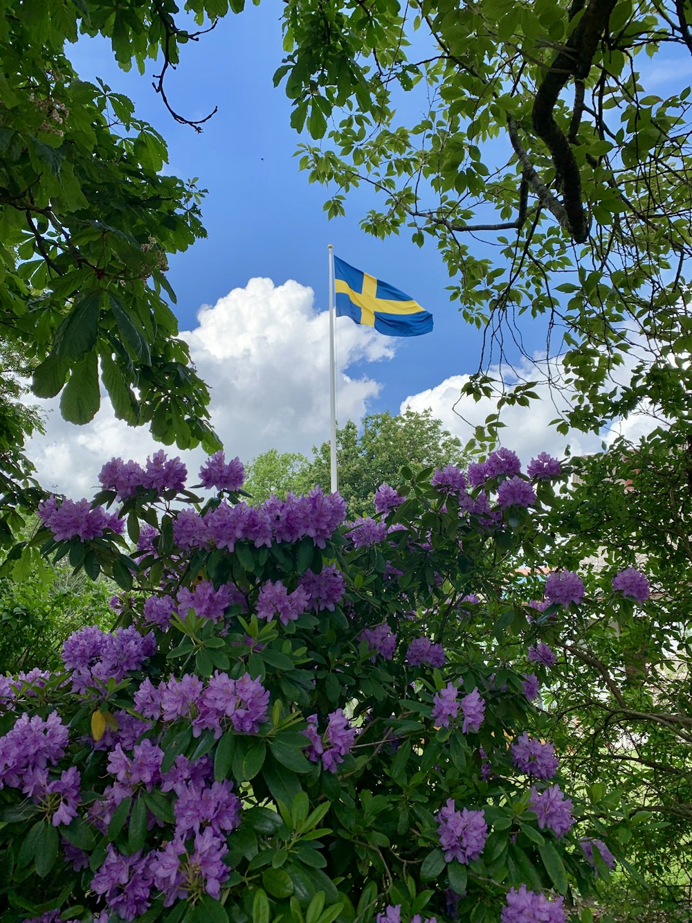紫色の花の茂みの近くの中央に黄色の十字が付いた青い旗