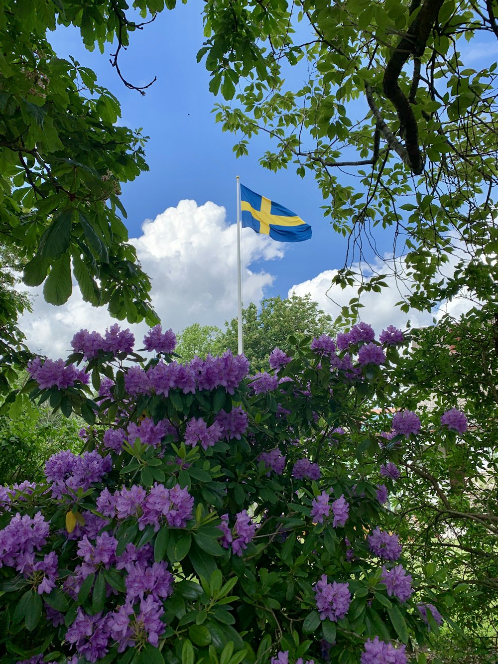 blue flag with yellow cross in the middle near purple flower bushes