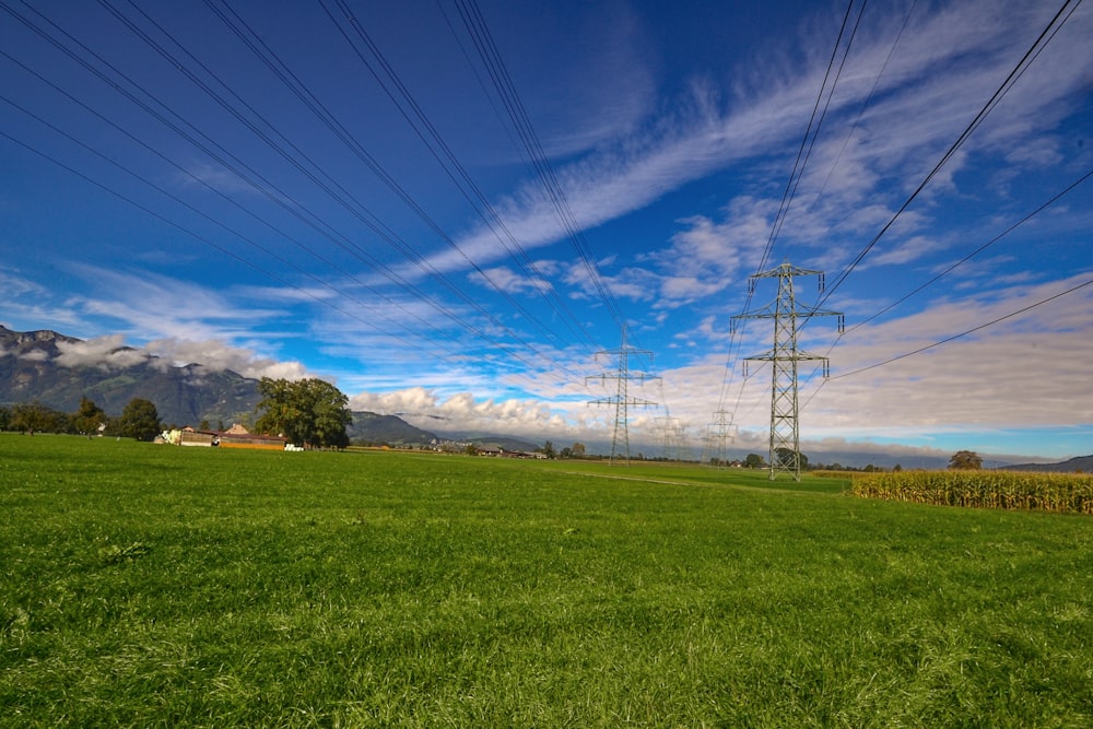 green field under blue sky