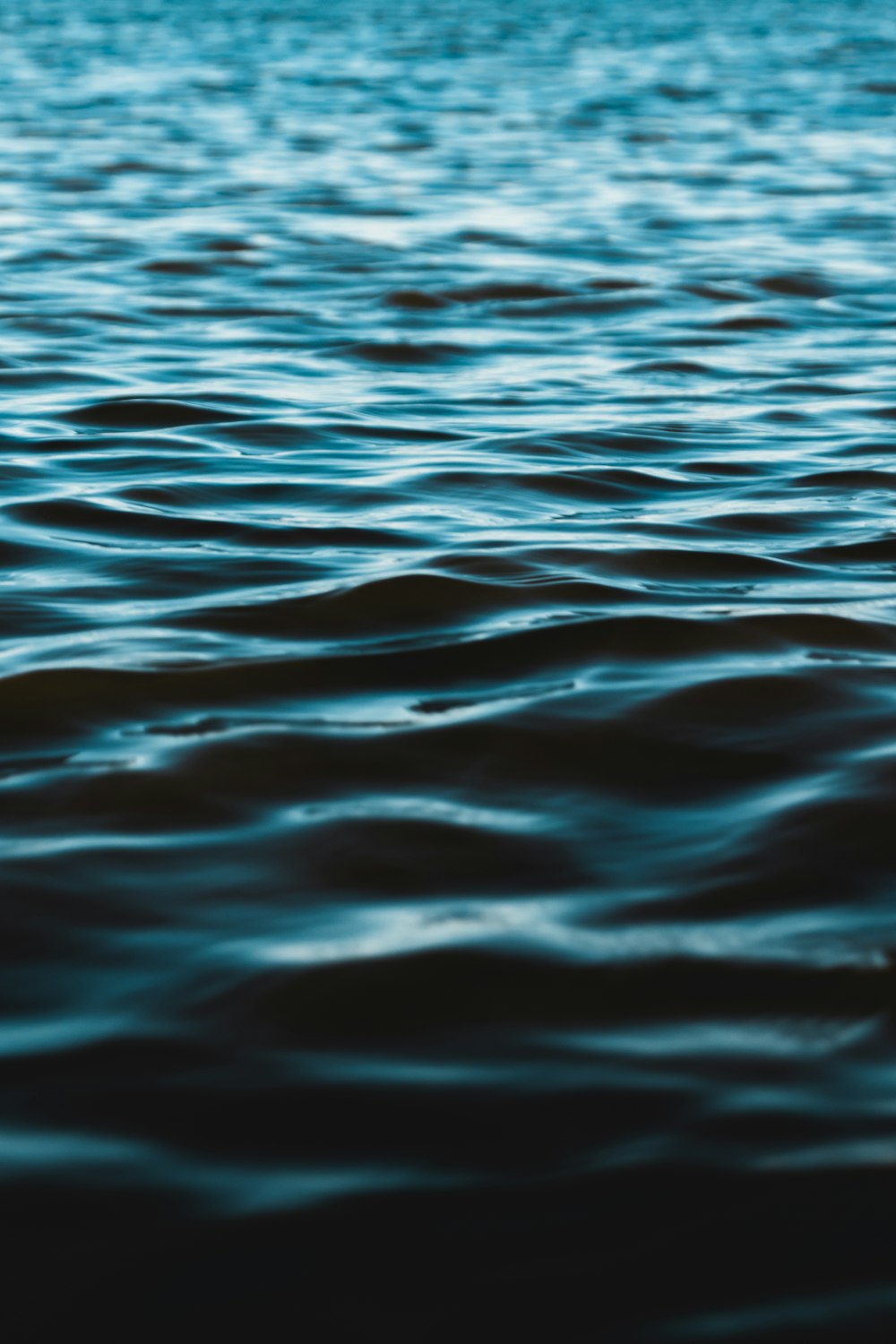L’eau calme de l’océan