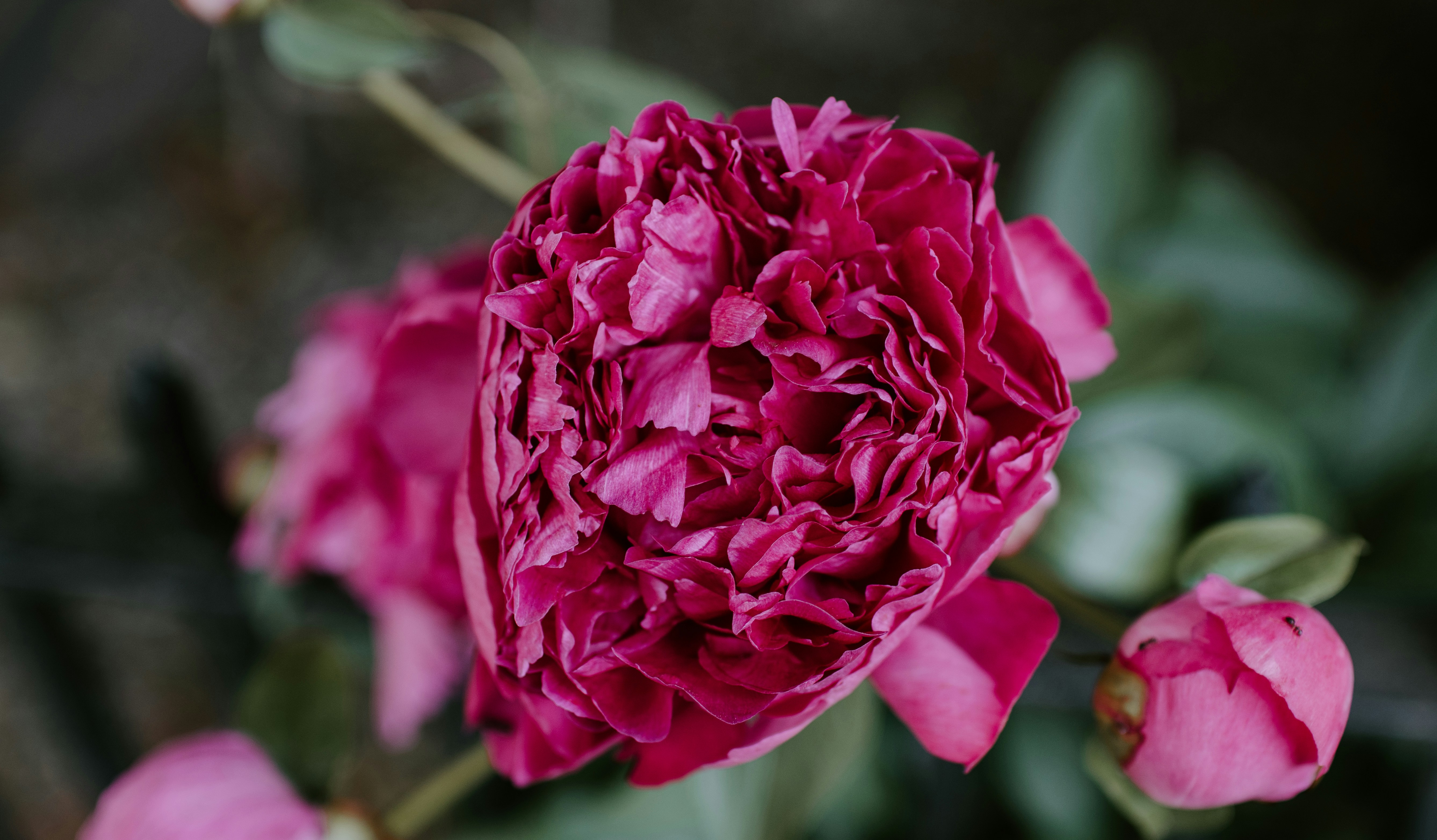 Photo by kellysikkema