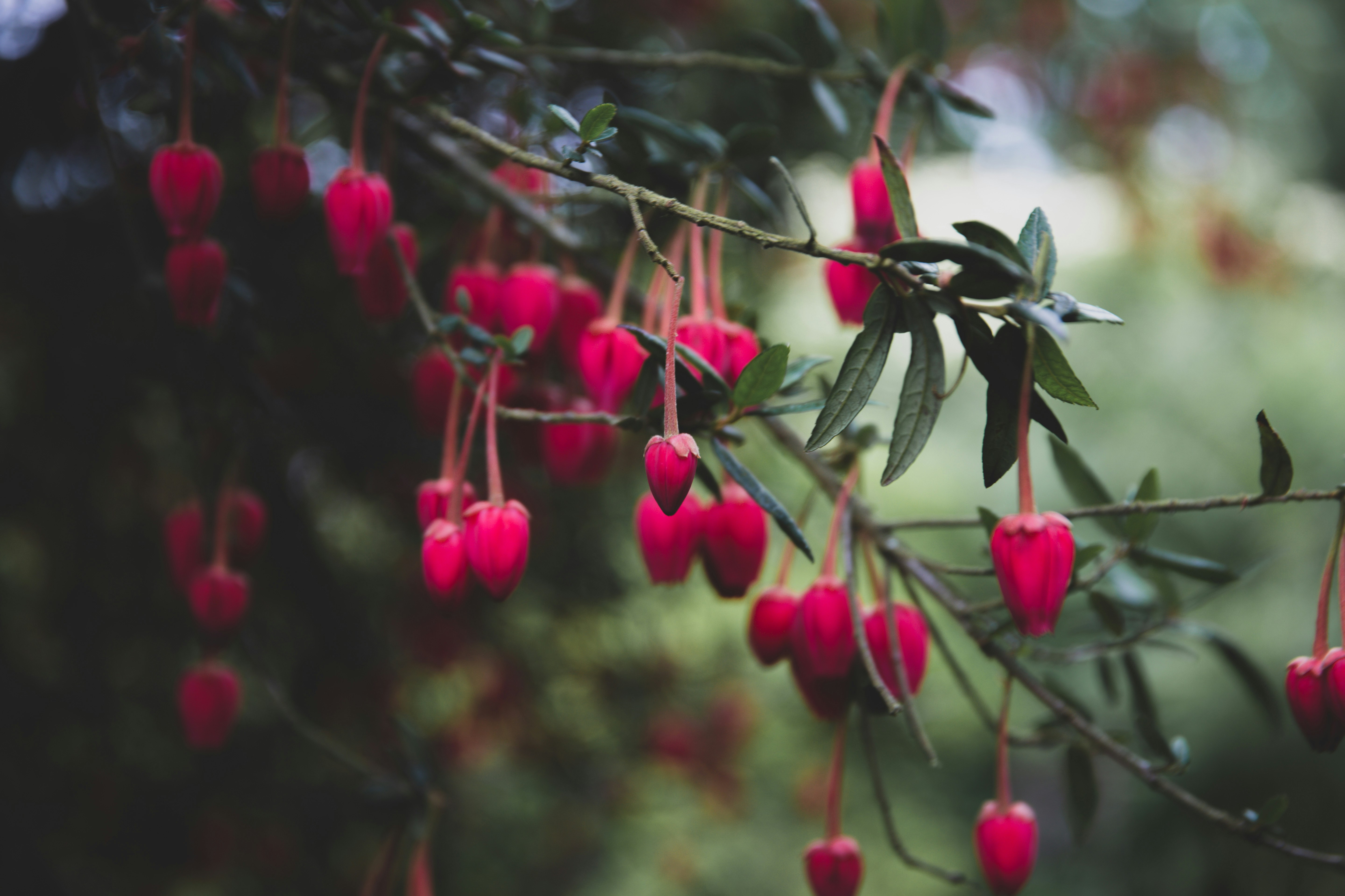 Photo by blackprojection