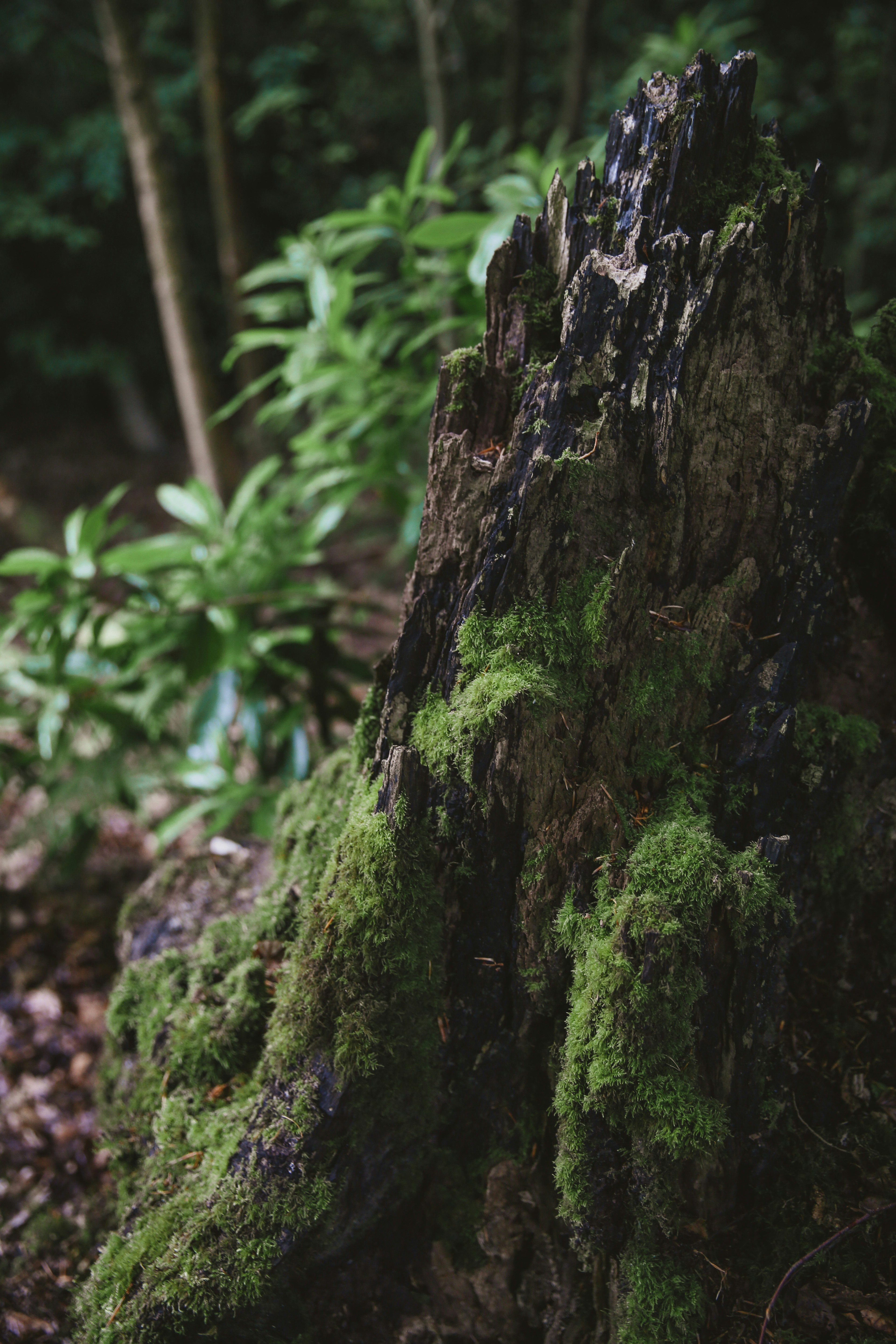 Photo by blackprojection