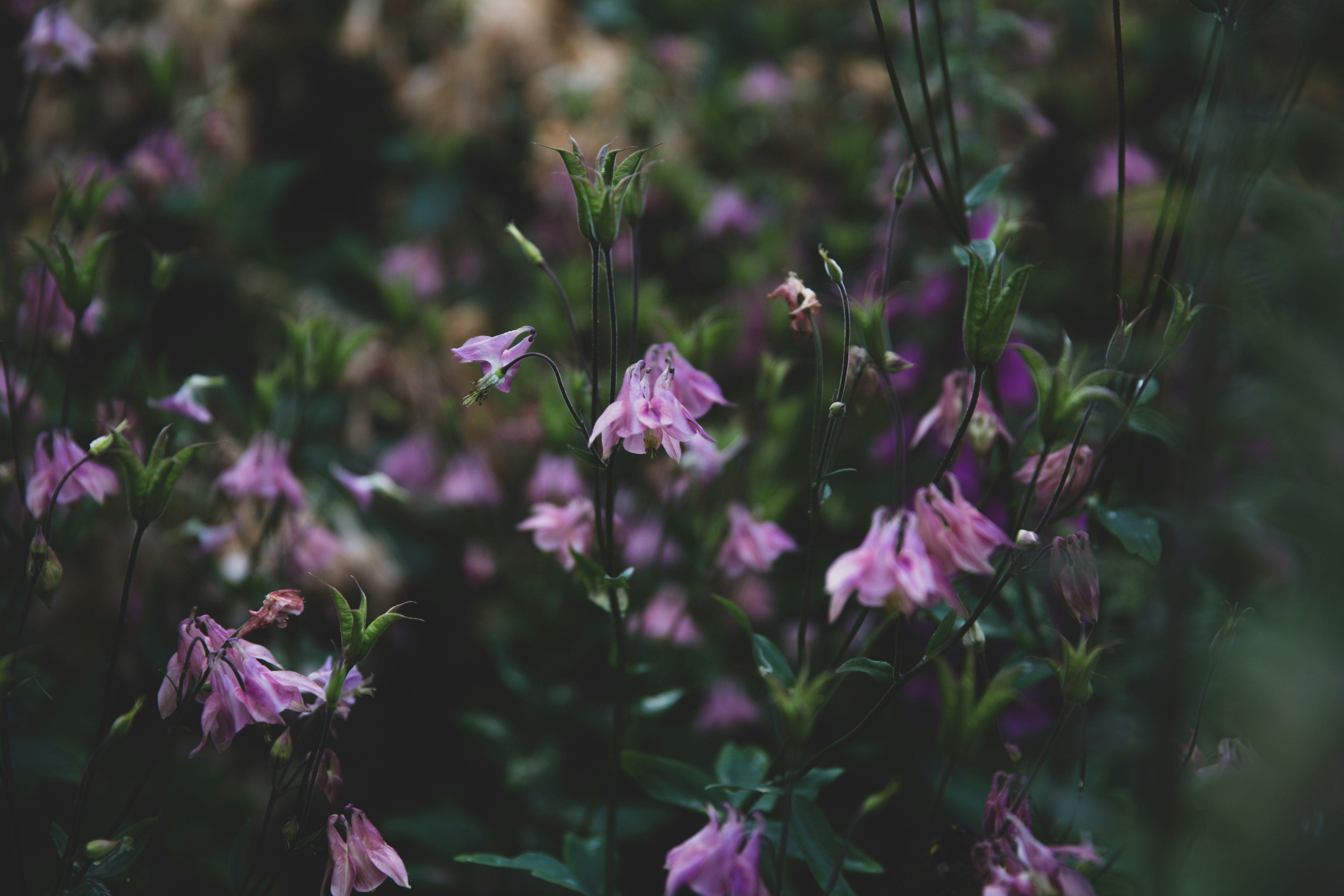 Photo by blackprojection