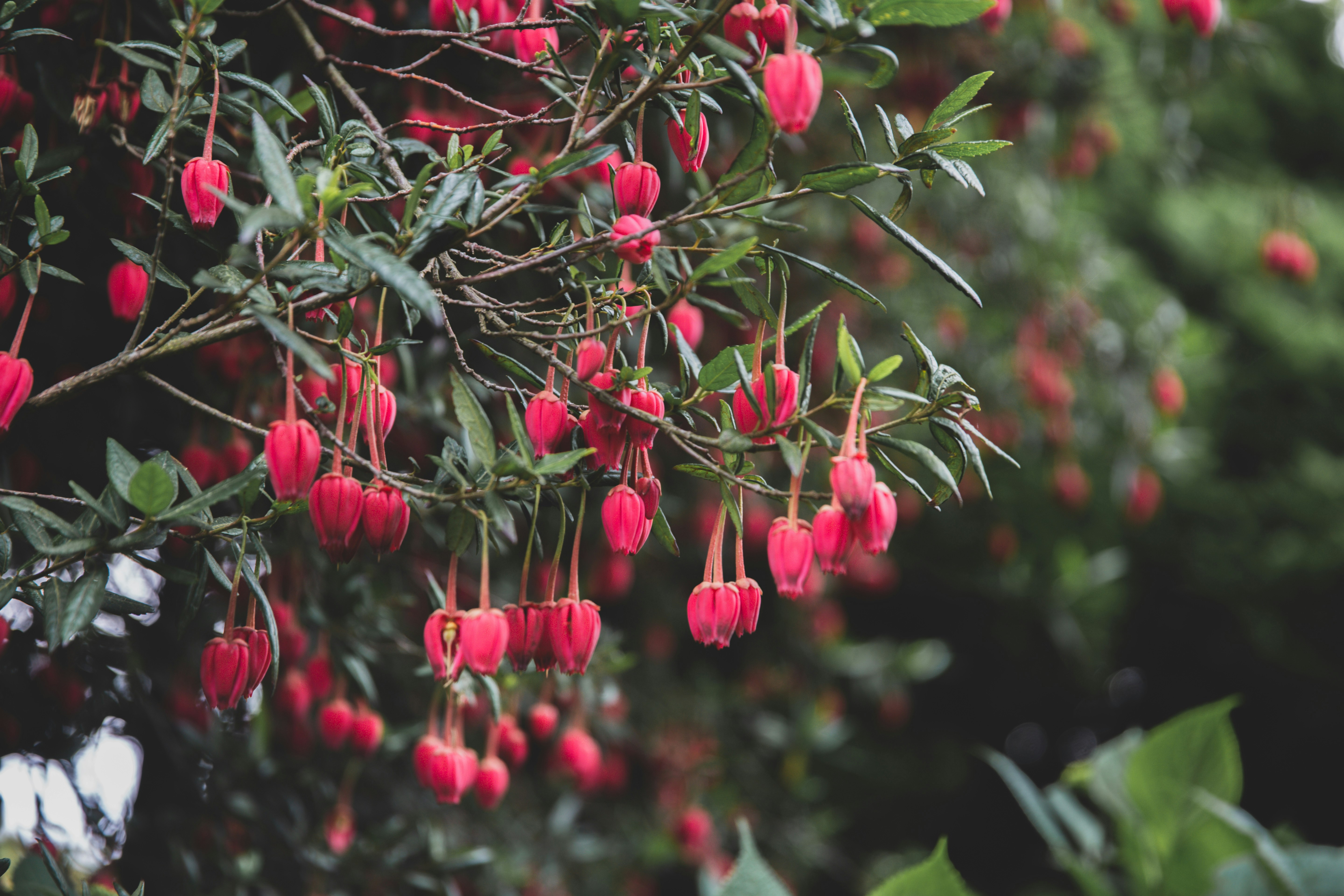 Photo by blackprojection