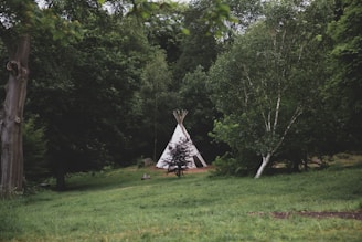 A white teepee stands surrounded by lush green trees and grass. The scene is set in a dense forest with various shades of green foliage, creating a serene and natural atmosphere. The teepee is placed on a patch of earth, slightly elevated from the grassy foreground.