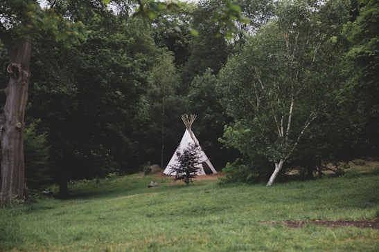 A white teepee stands surrounded by lush green trees and grass. The scene is set in a dense forest with various shades of green foliage, creating a serene and natural atmosphere. The teepee is placed on a patch of earth, slightly elevated from the grassy foreground.