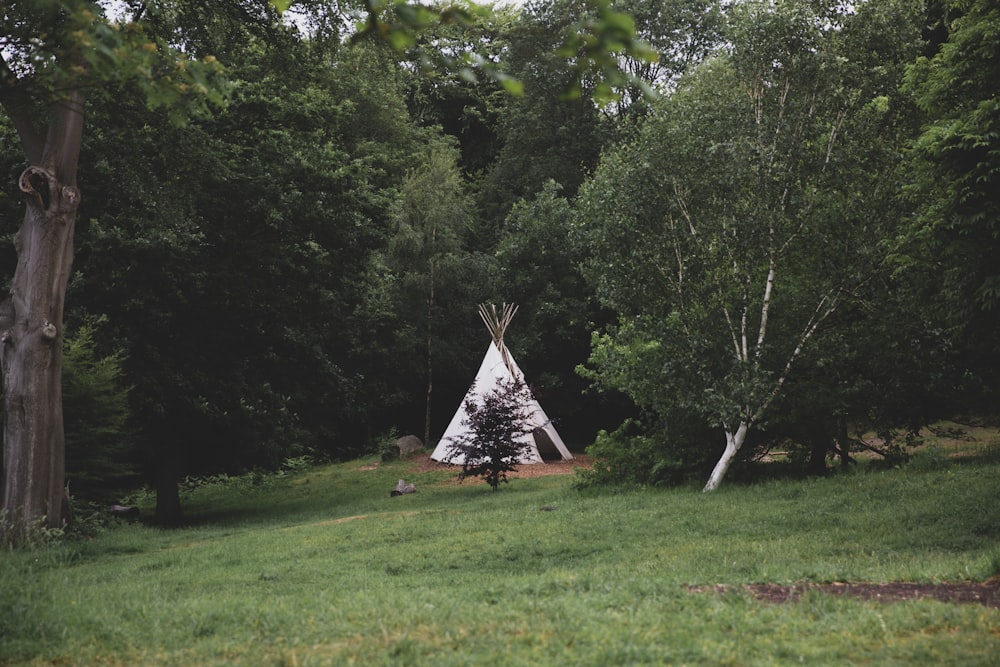 white tent surrounded by trees